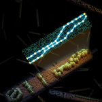 Các nhà khoa học máy tính tạo ra hệ thống máy tính phân tử có thể lập trình lại