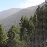 “Dữ liệu lớn (Big Data)” tiết lộ gì về sự đa dạng của các loài