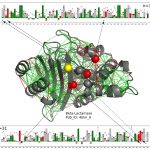 Siêu máy tính giúp lắp ráp các tổ hợp Protein