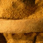 Bằng chứng khảo cổ học mới đưa ra ánh sáng về những nỗ lực chống lại ‘xác sống’