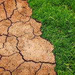 Biến đổi khí hậu đã làm xấu đi sự bất bình đẳng kinh tế toàn cầu