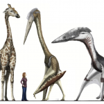 Bò sát bay khổng lồ cai trị Transylvania cổ đại