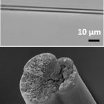 Các nhà máy vi khuẩn có thể sản xuất protein hiệu suất cao cho các sứ mệnh không gian