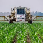 Các nhà nghiên cứu nhìn thấy ảnh hưởng sức khỏe qua các thế hệ từ thuốc diệt cỏ phổ biến