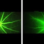 Chất liệu kỳ diệu: Lần đầu tiên các sợi nano photphorene 2D được làm riêng lẻ