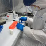 Khám phá loài cổ xưa ở Vịnh Alaska