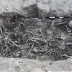 Lịch sử của các cuộc thập tự chinh như được kể bởi DNA của thập tự quân