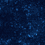 Mã vạch sáng nhỏ xác định các phân tử bởi cách lấp lánh của chúng