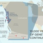 Nghiên cứu cho thấy 10.000 năm liên tục di truyền của tộc người sống ở tây bắc Bắc Mỹ