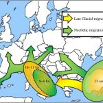 Nghiên cứu DNA mới cho thấy con đường di cư thực sự của nông nghiệp sớm ở châu Âu 8.000 năm trước