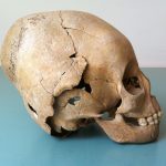 Phân tích khảo cổ: Nông dân ở Đế chế La Mã chuyển đổi sang lối sống du mục Hunic và ngược lại