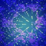 Bằng chứng thực nghiệm đầu tiên cho băng siêu âm