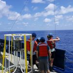 Cuộc sống thở bằng thạch tín được phát hiện ở Thái Bình Dương