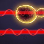 Điều tra căng thẳng tế bào để có sức khỏe tốt hơn và bia tốt hơn