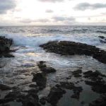 Sự suy giảm nguy hiểm của thiên nhiên chưa từng có và tốc độ tuyệt chủng loài tăng nhanh