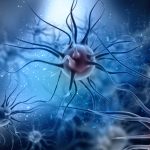 Tiến hóa cùng virus ảnh hưởng đến sự nhạy cảm với các bệnh nhiễm trùng trong tương lai