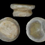 Vỏ hến nước ngọt là nguyên liệu được lựa chọn cho các thợ thủ công thời tiền sử