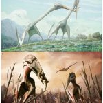 Pterodactyls bé có thể bay từ khi sinh ra