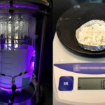 Các sinh vật nano chạy bằng năng lượng ánh sáng tiêu thụ carbon dioxide, tạo ra nhựa và nhiên liệu thân thiện với môi trường