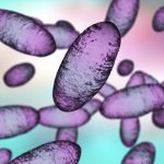 Chi tiết về đại dịch dịch hạch được ghi nhận trong lịch sử được tiết lộ bởi bộ gen cổ đại