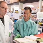 Đột phá trong nghiên cứu bệnh lãng phí mãn tính cho thấy các chủng hươu, nai sừng tấm khác biệt