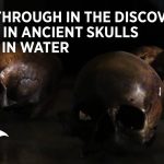 Đột phá trong việc phát hiện DNA trong xương cổ bị chôn vùi trong nước