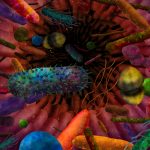 Mức độ cao của vi khuẩn đường ruột hiếm có thể liên quan đến hội chứng chân tay bồn chồn