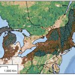 Rừng già chống lại sự thay đổi và biến đổi khí hậu