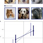 Tương quan hành vi của hội chứng thuần hóa được tách rời trong các giống chó hiện đại