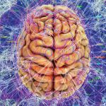 Giải mã tâm trí: Ký ức