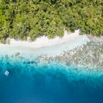 Lập bản đồ thay đổi đa dạng sinh học toàn cầu