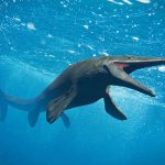 Có phải mosasaurs săn mồi bằng cách làm cho các con mồi bị đột quỵ?﻿