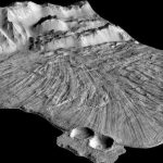 Những đường vân khổng lồ ở bề mặt lở đất trên Sao Hỏa có thể hình thành mà không có băng