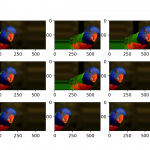 Phương pháp Deep learning mới có thể biến đổi hình dạng