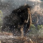 Những con voi ma mút cuối cùng đã chết trên đảo Wrangel xa xôi