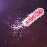 Các phân tử đường chuyên dụng được gọi là glycans có thể loại bỏ mầm bệnh và ngăn ngừa nhiễm trùng