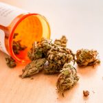 Cần sa làm giảm đau đầu và đau nửa đầu gần một nửa