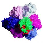 Các nhà nghiên cứu hình dung động cơ vi khuẩn trong bước đầu tiên hướng tới năng lượng điện do con người tạo ra