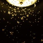 Bốn cách để hạn chế ô nhiễm ánh sáng