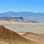 Bí ẩn về cách những con vật cổ đại sống sót qua kỷ băng hà