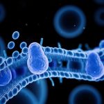 Tế bào nhân tạo hoạt động giống như thật