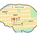 Các tế bào thần kinh cụ thể lập bản đồ ký ức hiện được xác định trong não người