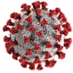 Coronavirus lây lan nhanh chóng và đôi khi trước khi mọi người có triệu chứng