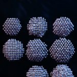 Tái tạo 3D của các hạt nano riêng lẻ