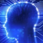 Bằng chứng cho thấy nguồn gốc ngôn ngữ ở người đã tồn tại trong não ít nhất 25 triệu năm tuổi