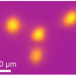 BESSY II: Chuyển đổi cực nhanh tính tự động của các xung ánh sáng phân cực tròn