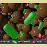 Thiết bị siêu nhỏ giúp phát hiện vi khuẩn, virus