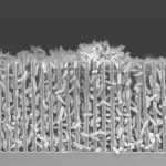 Trên sao Hỏa hoặc Trái đất, sinh học có thể biến carbon dioxide thành các sản phẩm mới