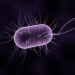 Các ion bạc diệt vi khuẩn như thế nào?