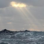 Nhỏ hơn thực vật phù du dự kiến ​​có thể có nghĩa là ít carbon bị cô lập ở đáy biển